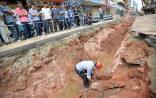 Illustration for article titled Dozens Of Dinosaur Eggs Unearthed By Chinese Road Workers